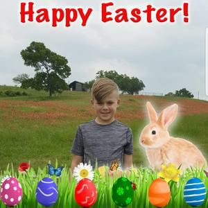 Meet your Posher, Nikki